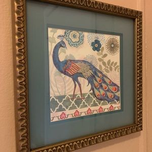 15 x 15 Peacock Picture